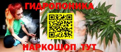 дмт Канаш