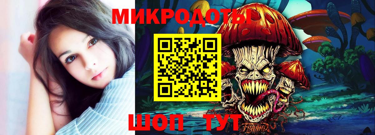 Лесной  Галлюциногенные грибы Psilocybe  Вход с VPN 
