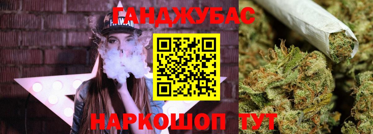 Конопля планчик Лесной